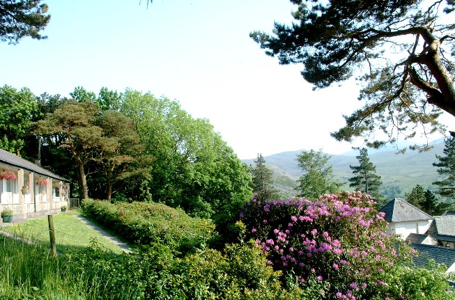 Terrace of Holiday Cottages - Snowdonia, North Wales
